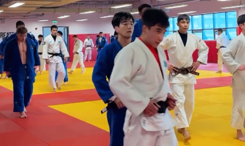 International Judo Training Camp