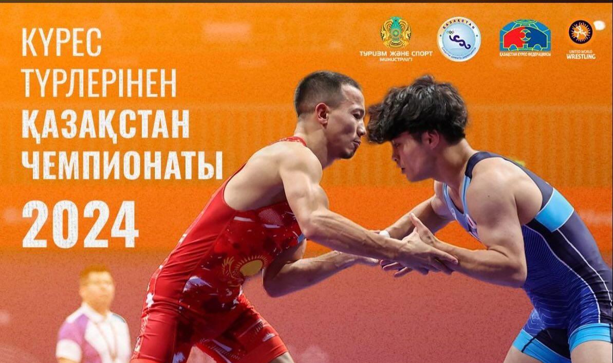 Чемпионат страны по борьбе