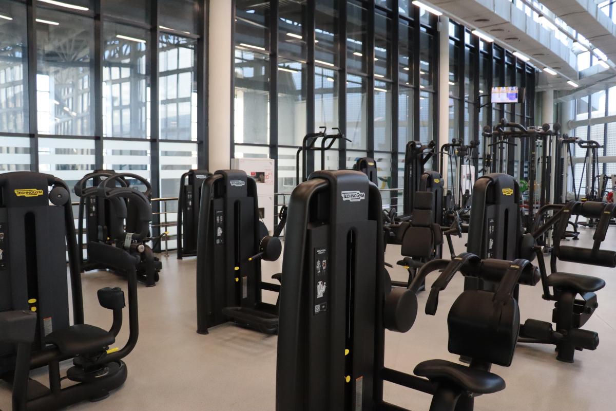 Training with a trainer: the key to success!